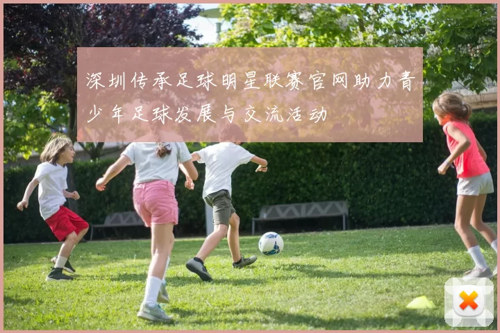 深圳传承足球明星联赛官网助力青少年足球发展与交流活动
