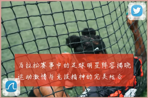马拉松赛事中的足球明星阵容揭晓运动激情与竞技精神的完美结合