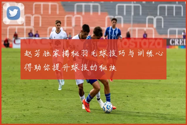 赵芳独家揭秘羽毛球技巧与训练心得助你提升球技的秘诀