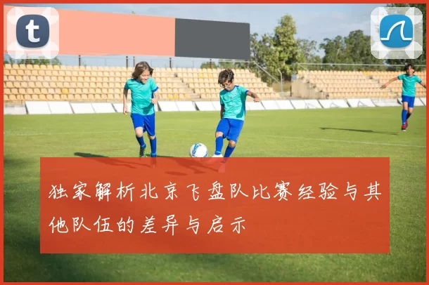 独家解析北京飞盘队比赛经验与其他队伍的差异与启示