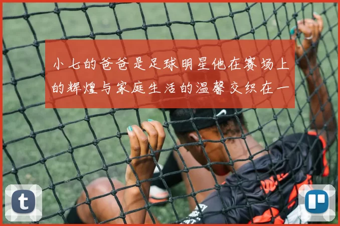 小七的爸爸是足球明星他在赛场上的辉煌与家庭生活的温馨交织在一起