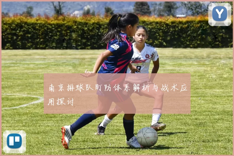 南京排球队盯防体系解析与战术应用探讨