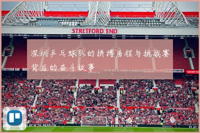 深圳乒乓球队的拼搏历程与挑战赛背后的奋斗故事
