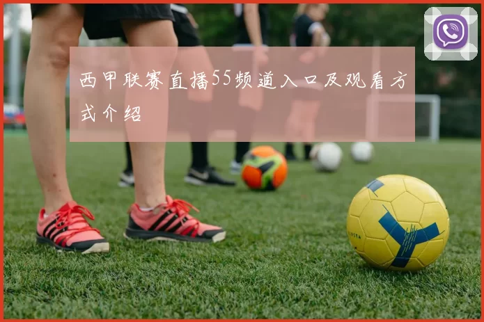 西甲联赛直播55频道入口及观看方式介绍