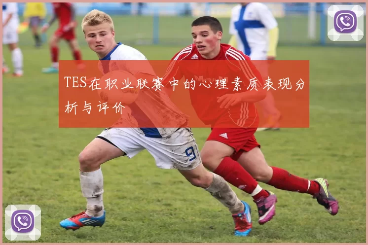 TES在职业联赛中的心理素质表现分析与评价