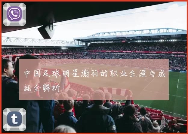 中国足球明星谢羽的职业生涯与成就全解析