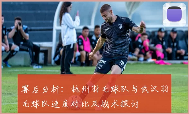 赛后分析：杭州羽毛球队与武汉羽毛球队速度对比及战术探讨