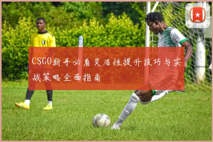 CSGO新手必看灵活性提升技巧与实战策略全面指南