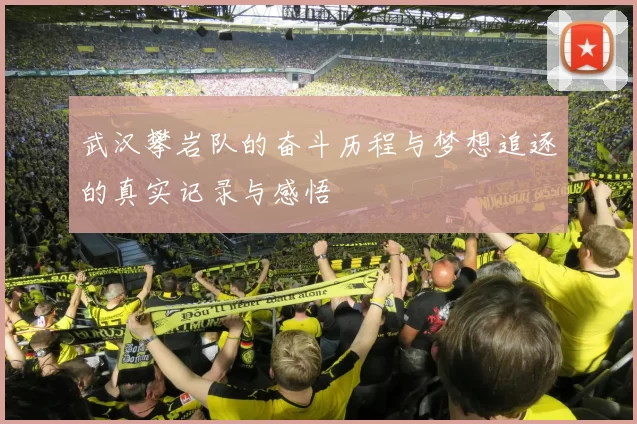 武汉攀岩队的奋斗历程与梦想追逐的真实记录与感悟