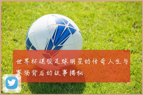 世界杯退役足球明星的传奇人生与赛场背后的故事揭秘