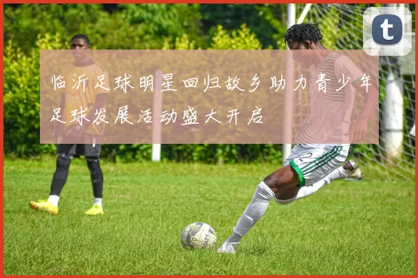 临沂足球明星回归故乡助力青少年足球发展活动盛大开启