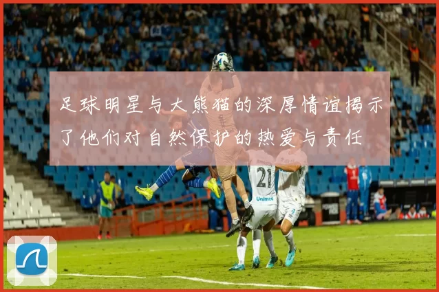 足球明星与大熊猫的深厚情谊揭示了他们对自然保护的热爱与责任