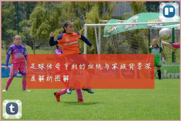 足球传奇亨利的血统与家族背景深度解析图解