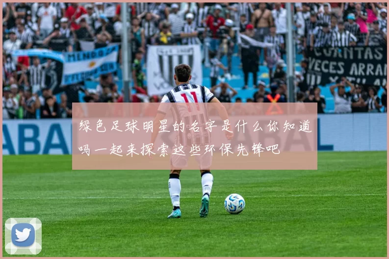绿色足球明星的名字是什么你知道吗一起来探索这些环保先锋吧