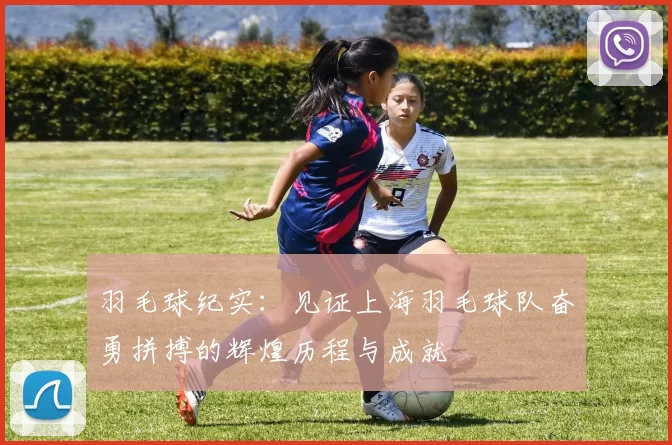羽毛球纪实：见证上海羽毛球队奋勇拼搏的辉煌历程与成就