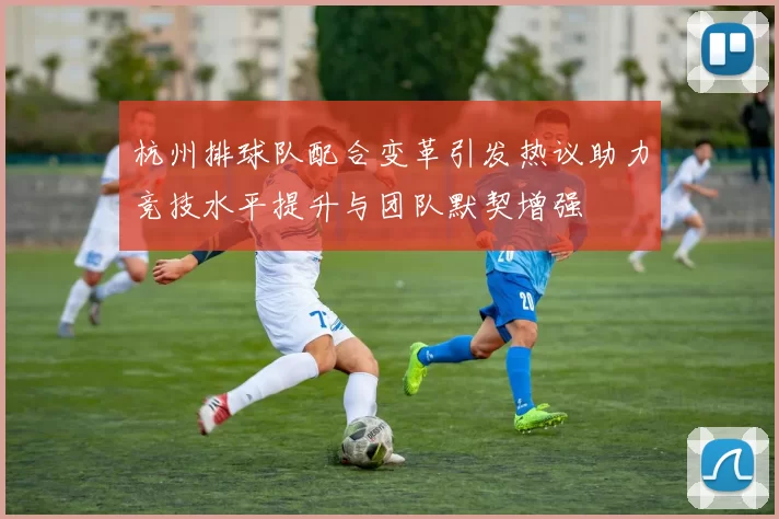 杭州排球队配合变革引发热议助力竞技水平提升与团队默契增强