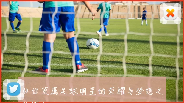 非你莫属足球明星的荣耀与梦想之路探秘