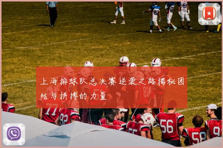 上海排球队总决赛逆袭之路揭秘团结与拼搏的力量