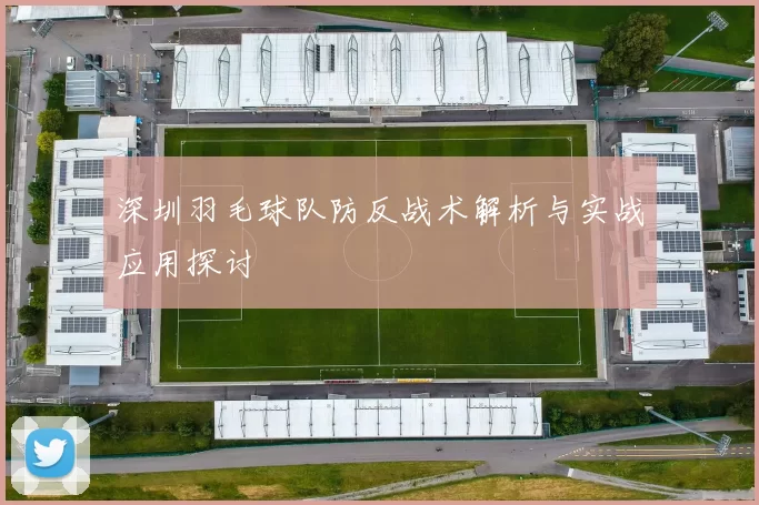 深圳羽毛球队防反战术解析与实战应用探讨